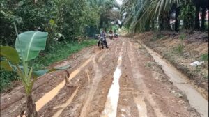 Merasa Dikasih Janji Palsu, Warga Tanam Pisang di JUT Ranggas