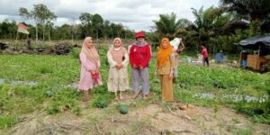 Lebih dari 3 Ton Buah Semangka Berhasil Dipanen PKK Desa Airgegas