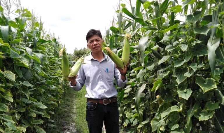 IMG-20230425-WA0008 IMG-20230425-WA0008