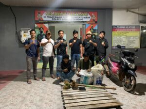 Dua Pemuda Desa Terentang Curi Udang di PT. BBLS Ditangkap Tim Cobra