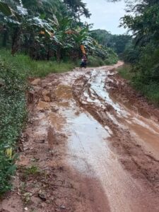 “Kubangan” Kerbau Ditengah Jalan Panang Perlang Hambat Pelayanan Posyandu dan Anak Sekolah, Bupati Sudah Perintahkan Dinas PU Segera Perbaiki