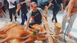 PKS Berbagi, DPD PKS Bateng Salurkan 600 Paket Qurban ke Masyarakat