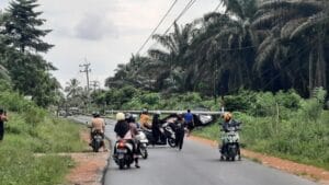 Dua Tiang PLN Jalan Raya Simpang Jongkong – Kulur Roboh Ditabrak Pick Up Hitam