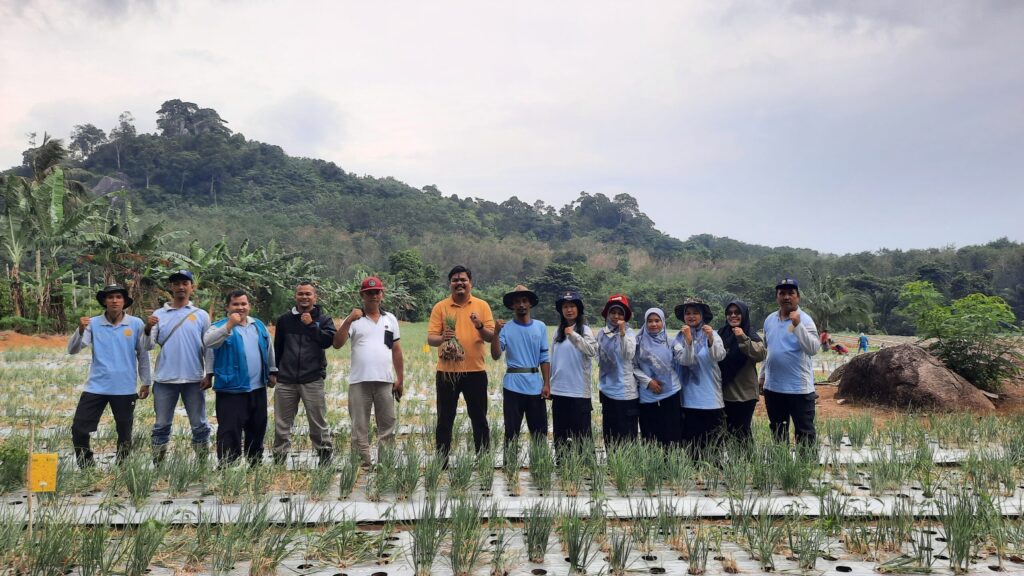 Petani Bersama Kades Perlang Panen Bawang Merah Mencapai 2 Ton