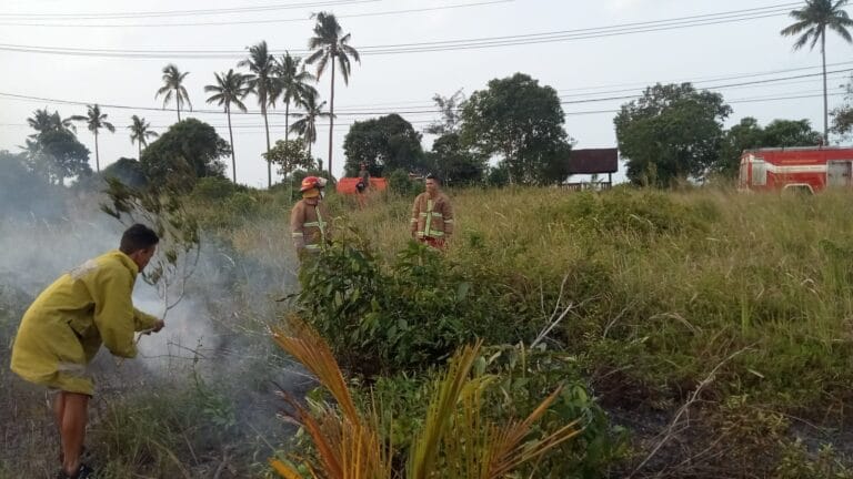 IMG-20230728-WA0002 IMG-20230728-WA0002