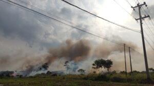 BREAKING NEWS : Kobaran Api Melahap Lahan di Samping SPBU Desa Penyak