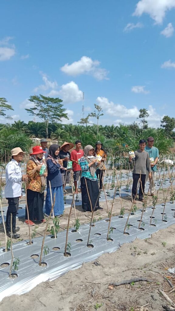 POPT Babel Lakukan Gerakan Pengendalian Organisme Penganggu Tanaman di Kulur, Bangka Tengah