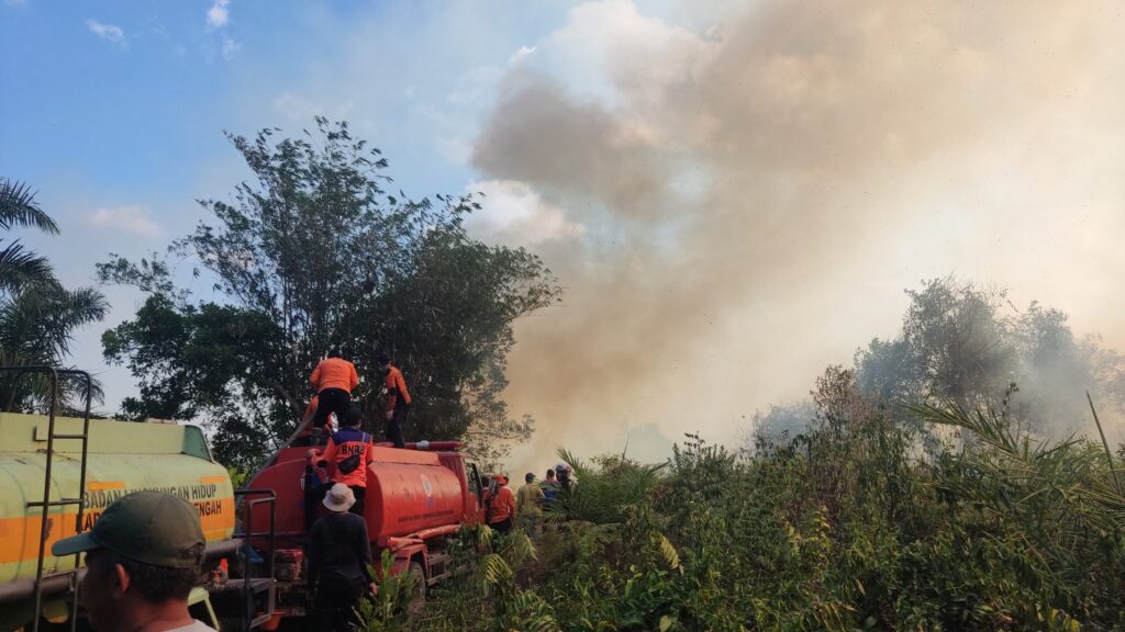 Hutan Lindung di Kota Koba Bangka Tengah Ludes Terbakar, Asap Selimuti Jalan Hingga Rumah Warga