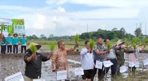 Tanam 2 Ha Padi Organik, Desa Namang Berkeinginan Beralih Kualitas 100 Persen ke Beras Organik