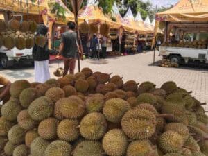 Bupati Algafry Akui Ekonomi Masyarakat Meningkat Berkat Durian