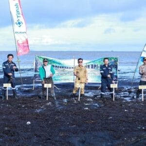 Kurangi Abrasi, PT Timah Tanam 3.000 Mangrove di Pantai Sesai