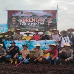 Wujudkan Ketahanan Pangan, PT Timah Tbk Bersama Polsek Kundur Utara/Barat Tanam Satu Juta Pohon Jagung 