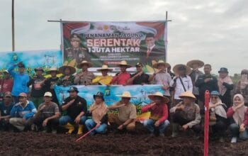 IMG-20250122-WA0085 IMG-20250122-WA0085