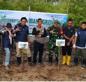 PT Timah Kembali Tanam Ribuan Mangrove di Desa Sawang Laut