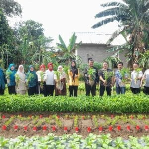 KWT Melati Desa Lubuk Pabrik Panen Berbagai Jenis Sayuran 