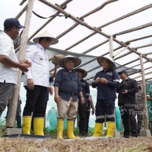 Panen Raya Bawang Merah, Pj Gubernur Babel Apresiasi Komitmen PT Timah Wujudkan Ketahanan Pangan