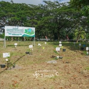 Kolaborasi Tingkatkan Ketahanan Energi, PT Timah Bersama PLN dan METI Tanam 1500 Pohon Angsana di Taman Energi Balai Karya