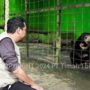 Tambang Timah Ilegal Merajalela di Bangka Belitung, Ancam Ekosistem Satwa Endemik