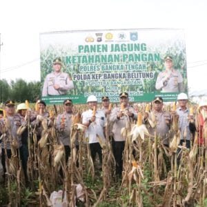 Polres Bangka Tengah Panen Jagung bersama di Desa Belilik