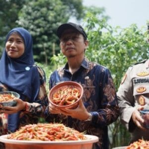 ‎Algafry Panen Sayur P2B bersama KWT Melati Sukses Lubuk Pabrik  ‎