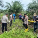 Warga Temukan Kerangka Manusia di Kebun Sawit Dusun Tanah Merah