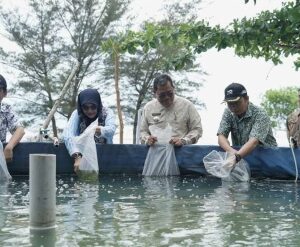 ‎Udang Vaname Hasil Bioflok Guntung Habis Terjual Diborong SPPG  ‎