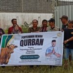 Arsari Tambang Group Salurkan 49 Ekor Sapi Kurban