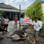 DPD PKS Bateng Siapkan 1000 Paket Kurban