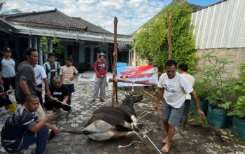 DPD PKS Bateng Siapkan 1000 Paket Kurban